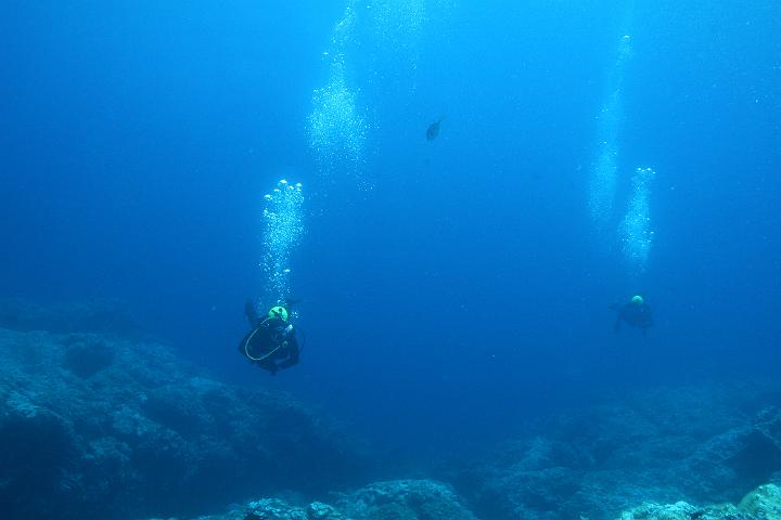 Mergulho 124.JPG